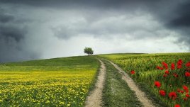 Мисъл на деня за... света