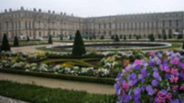 Париж те обича