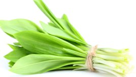 Левурда – за здраво сърце и детокс на тялото