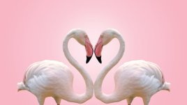 Любовен хороскоп за 7 – 13 май 2018