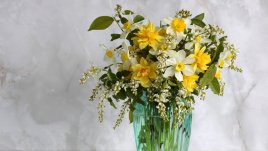 Поверия за Петровден