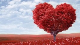 Мисъл на деня за... лицето на любовта