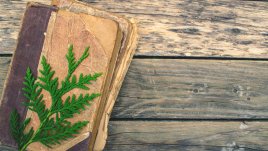 Притча за цветовете и щастието