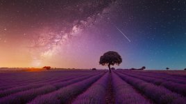 4 зодии, за които юли ще е фантастичен