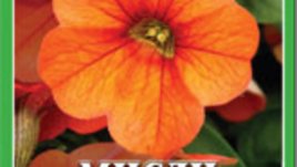 Мисли от сърцето – Луиз Хей