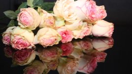 Любовта живее, щом можем да мечтаем