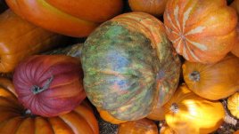 Маска за лице с тиква и мед