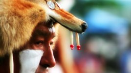 Индианска мъдрост на деня