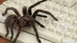 Имате хоби - а пречи ли то на семейството?