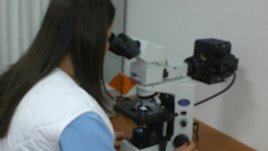 Хламидията е най-често предаваната полова инфекция и причина за стерилитет