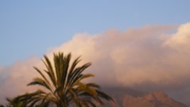 Черният господар на Канарските острови