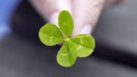 Да си пожелаем успех!