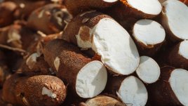 Тапиока и здравословните й ползи 