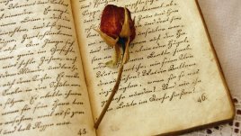 Мисъл на деня