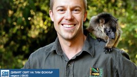 Поредицата „Дивият свят на Тим Фокнър“ стартира от 13 март по Bulgaria ON AIR