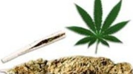 Истината за наркотиците