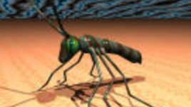 Предпазване от &quot;нежелани домашни любимци&quot;