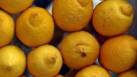 Есенна диета за детоксикация с 5 продукта