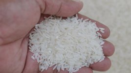 За какво да използвате ориза освен за готвене 