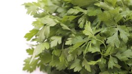 Лековити билки, полезни за бъбреците