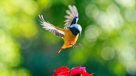 Мисъл на деня