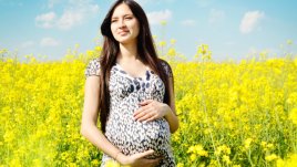 Защо комарите предпочитат бременни жени?