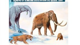 Спечелете си покани за „Ледникова епоха“