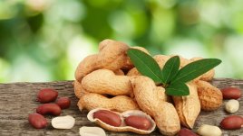 Хапвайте фъстъци за добра памет и настроение