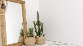 Декорация с кактуси