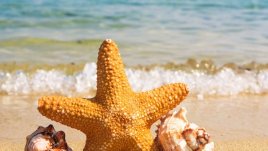 8 болести, които слънцето лекува