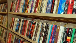 Кои са най-четените детски книги за лято 2013?