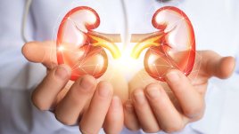 Ежедневни навици, увреждащи бъбреците 