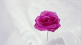 Кога имате нужда от сватбена агенция