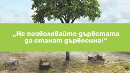 ЧЕЗ обявява фотоконкурс „Не позволявайте дърветата да станат дървесина“