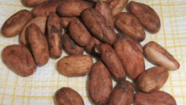 Сурови какаови зърна утоляват апетита при диета