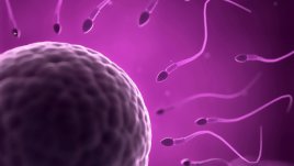 Стресът може да е причина за безплодие