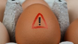 Лесен трик за разпознаване на развалено яйце 