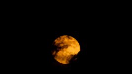 Пълнолуние и частично лунно затъмнение на 19 ноември