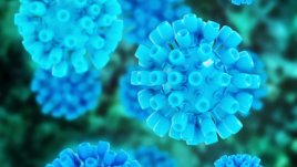 Безплатни и анонимни изследвания за хепатит B и C