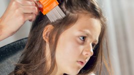 Столична община стартира информационна кампания „Училище без въшки“