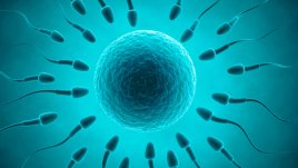 Непознати факти за спермата