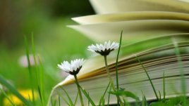 Мисъл на деня за... детето в нас