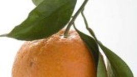 Храни за здраве и енергия през зимата