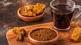 Гъба чага – за дълголетие и добро здраве