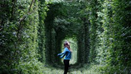 Шуслерови соли за здраве и самочувствие (XII част)