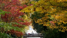 Любовни есенни рими – 10-а част