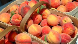 Плодове и зеленчуци, които нямат място в хладилника 