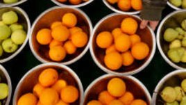 Създадоха Българска хранителна банка