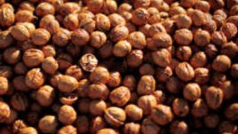 Вкусният американски орех &ndash; пекан