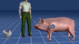 Свински грип, ваксини и фармацевтични компании